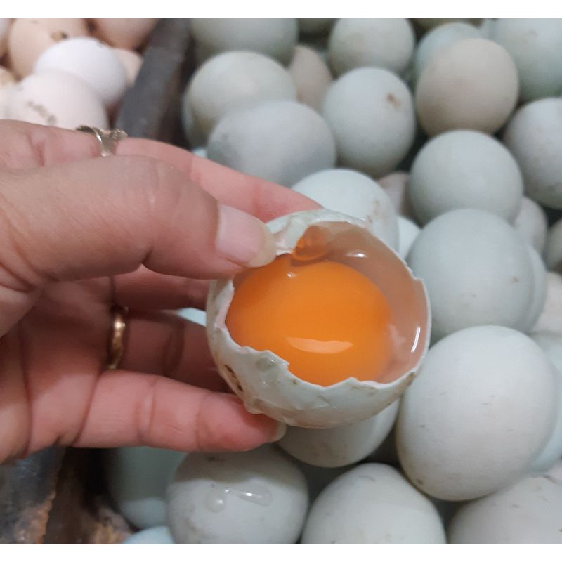 

Telur Bebek