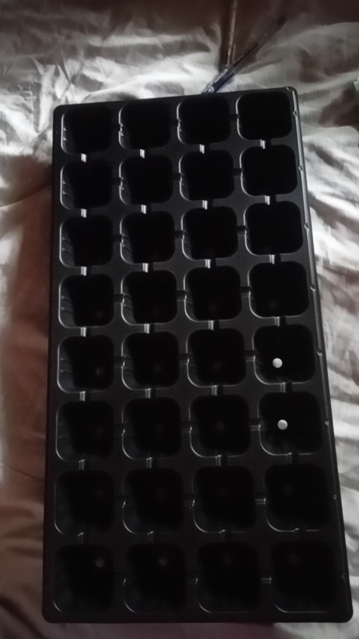 Tray Semai 32 Lubang