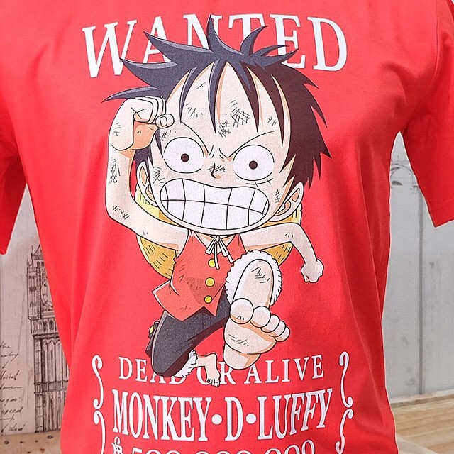 ONE PIECE WANTED POSTER