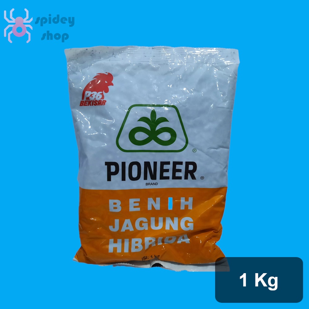Benih Jagung P36 1 Kg
