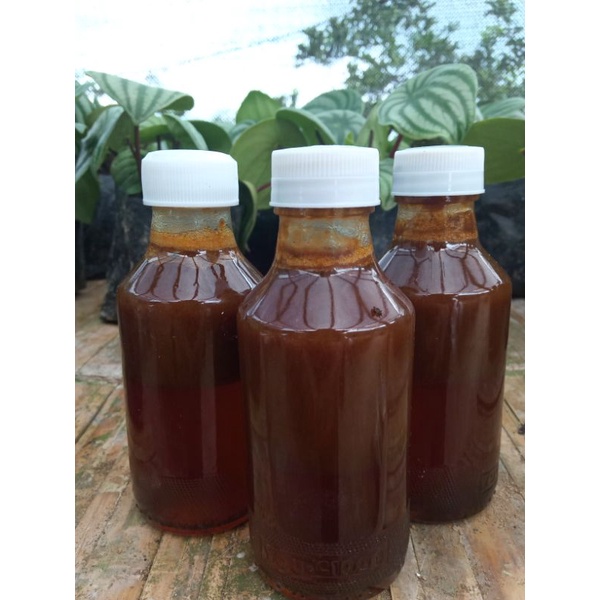 

Madu Klanceng wonosobo 100% Murni asli