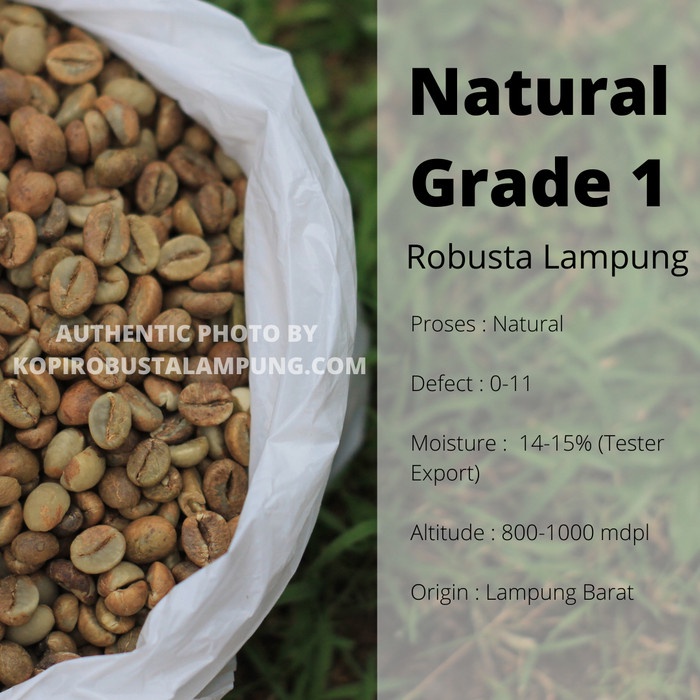 

Kopi-Biji- Kopi Robusta Lampung Greenbean Petik Merah - Natural Process -Biji-Kopi 750 Minuman-