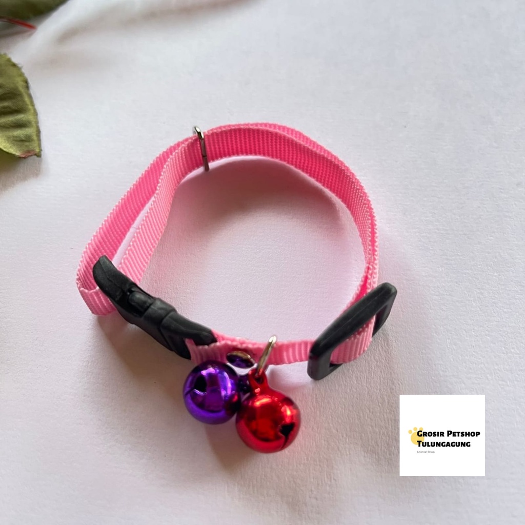 Kalung kucing 2 lonceng Polos 10ml bahan tebal