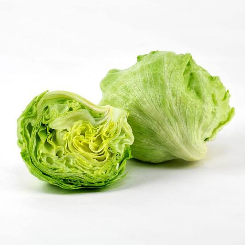 

Selada Lettuce 500gr