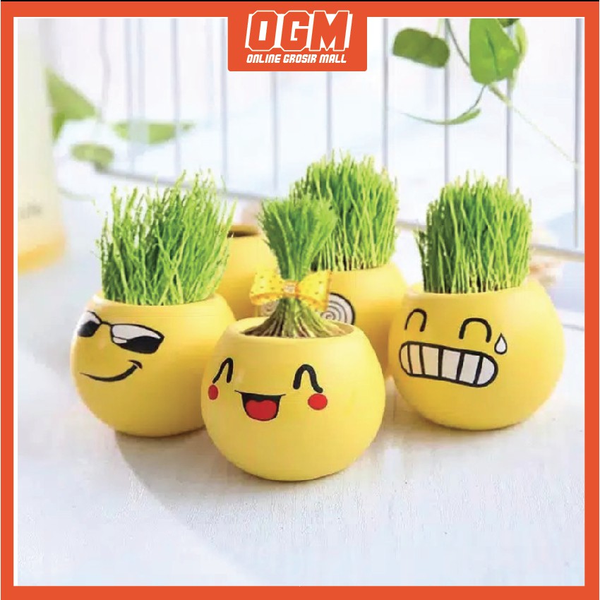  1 KG 12PCS TANAMAN RUMPUT MINI MOTIF EMOJI  MINI PLANT 