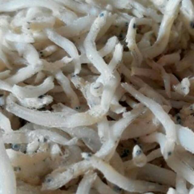 

Teri medan