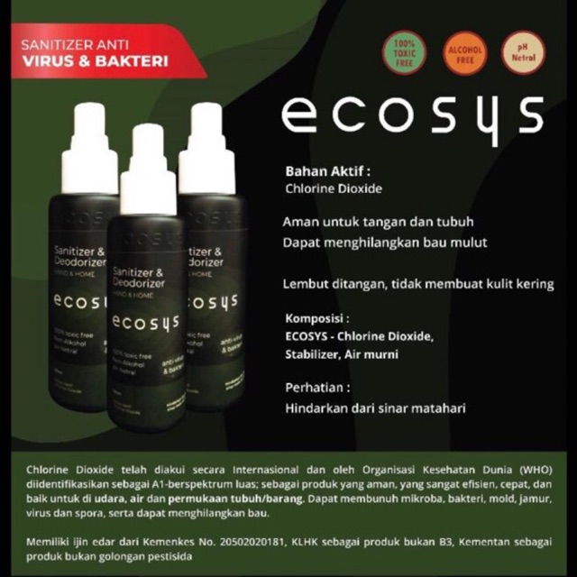 HANDSANITIZER Ecosys 100ml