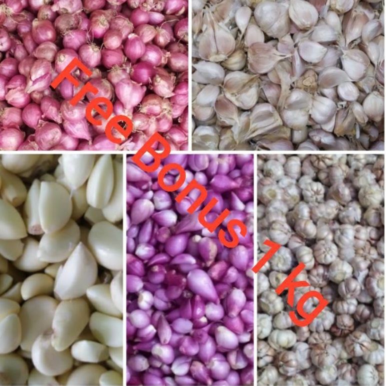 

Bawang Merah | Putih + Gratis Bonus