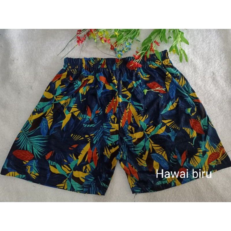 boxer hawai