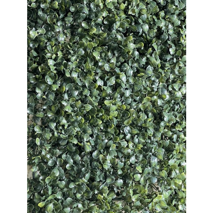 

Rumput plastik / Daun alaska / Daun papan / 40x60 / D-021 LIMITED EDITION Kode 1105