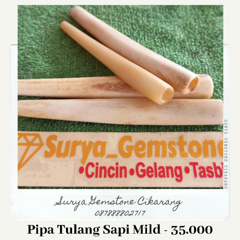 pipa tulang sapi