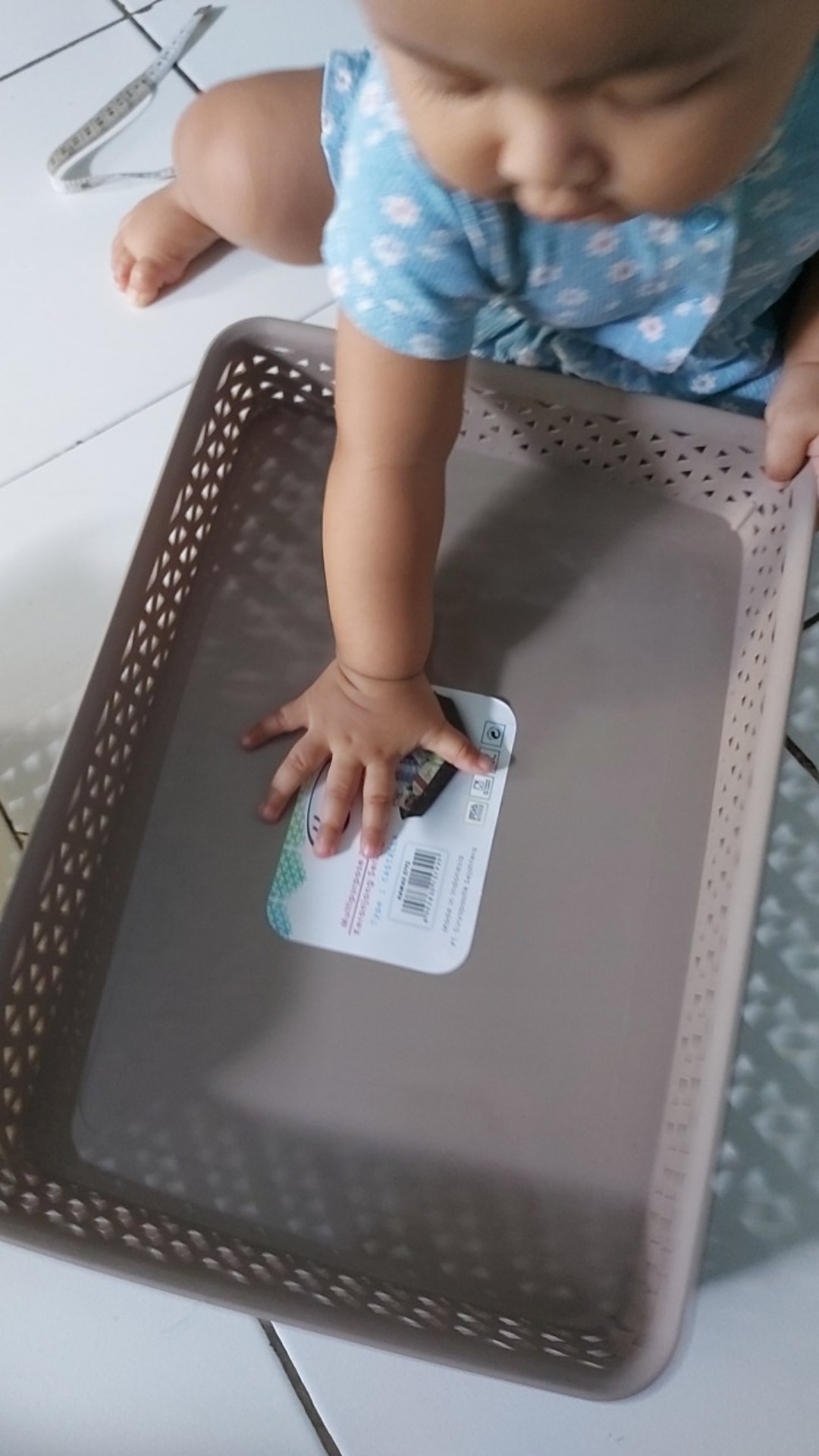 Anekagrosir | Keranjang Aksesoris - Container Box (l) - Keranjang Stationary Hawaii 5792