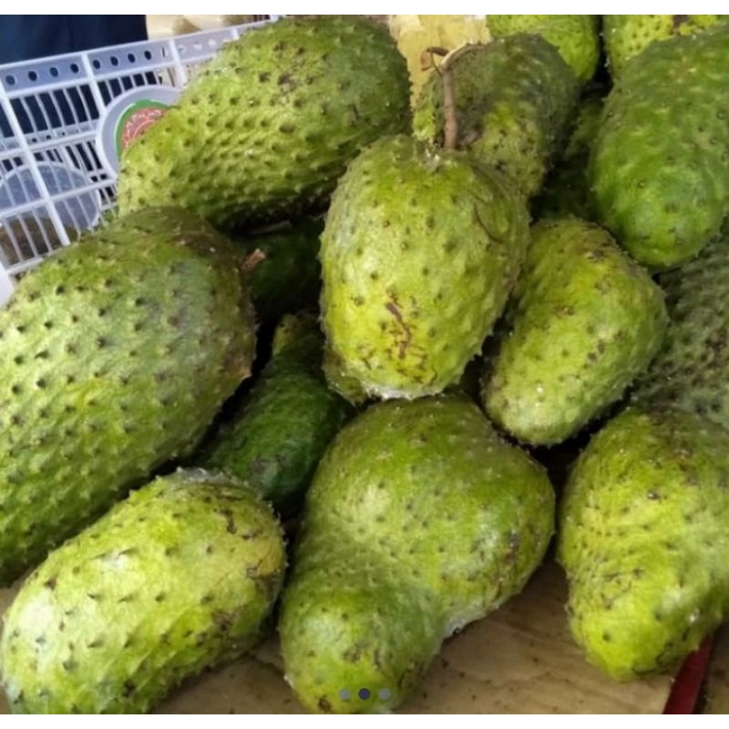 

Buah Sirsak