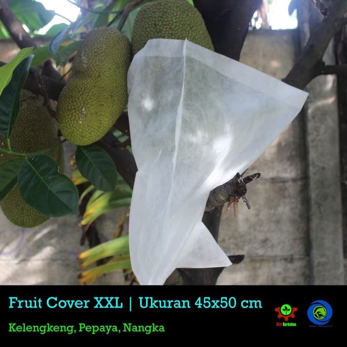 

5ds45ss Pembungkus Buah Kelengkeng 50 Pcs Xa20X1