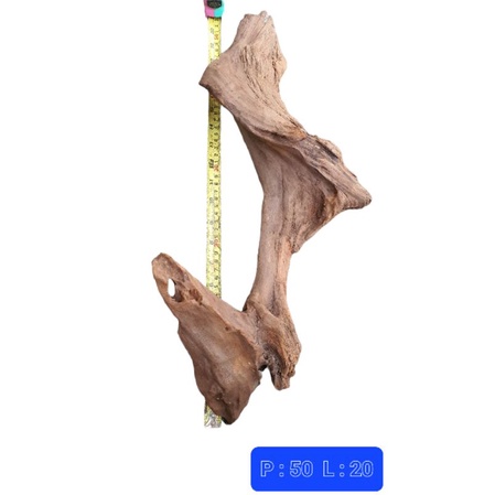 kayu aquascape hutan - tenggelam