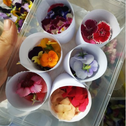 

MURAH MERIAH MIX EDIBLE FLOWER - 24PCS
