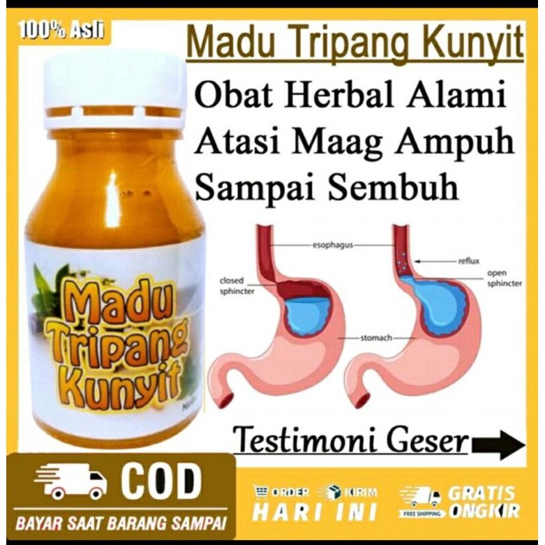 Madu tripang kunyit /Madu Kunyit tripang/Madu maag