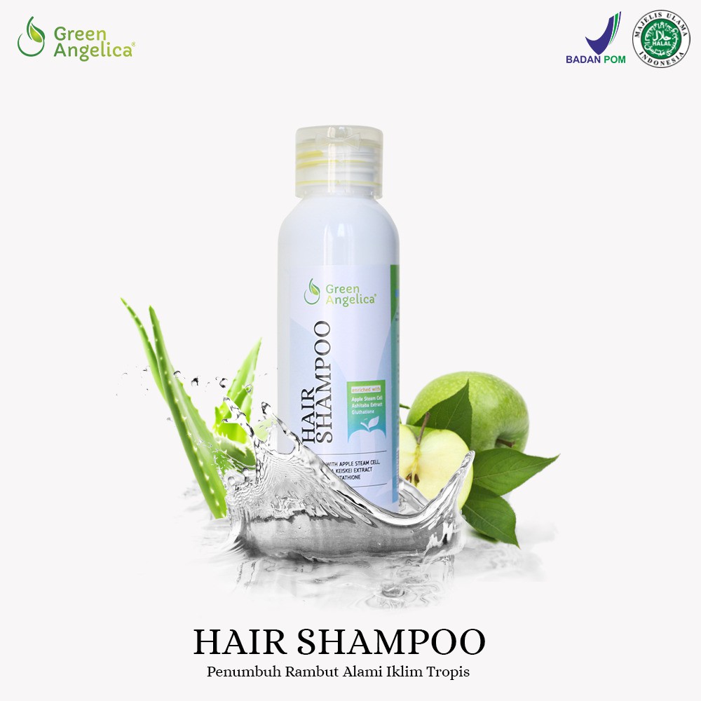 Shampo Rambut Kering Rontok Dan Berketombe Green Angelica Shopee