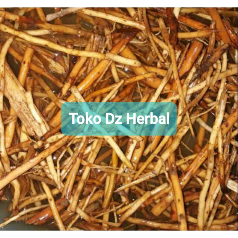 

Akar pinang segar 1 kg ready stok fresh-az