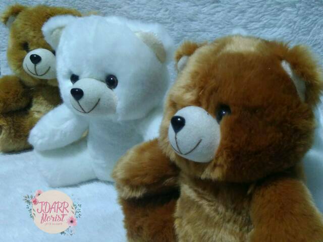 Boneka Polosan | Boneka Ukuran Sedang 23cm | Boneka Wisuda