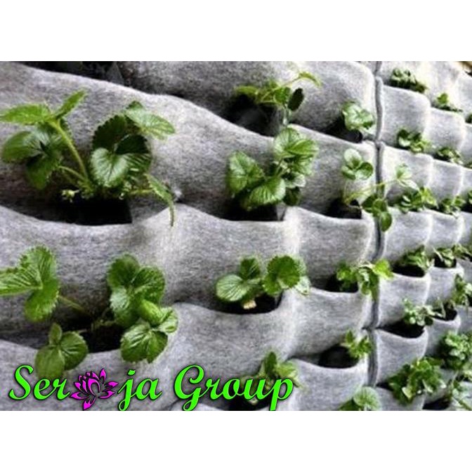 Karpet Geotextile Untuk Taman Vertikal / Vertical Garden | Geotextille