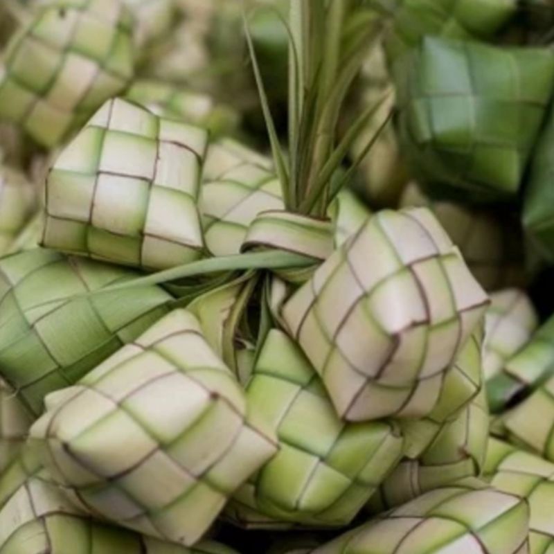 

kebun sayur sarang ketupat daun kelapa