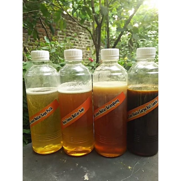 

madu mellifera nektar kayu putih/kopi/klengkeng/ akasia carpa