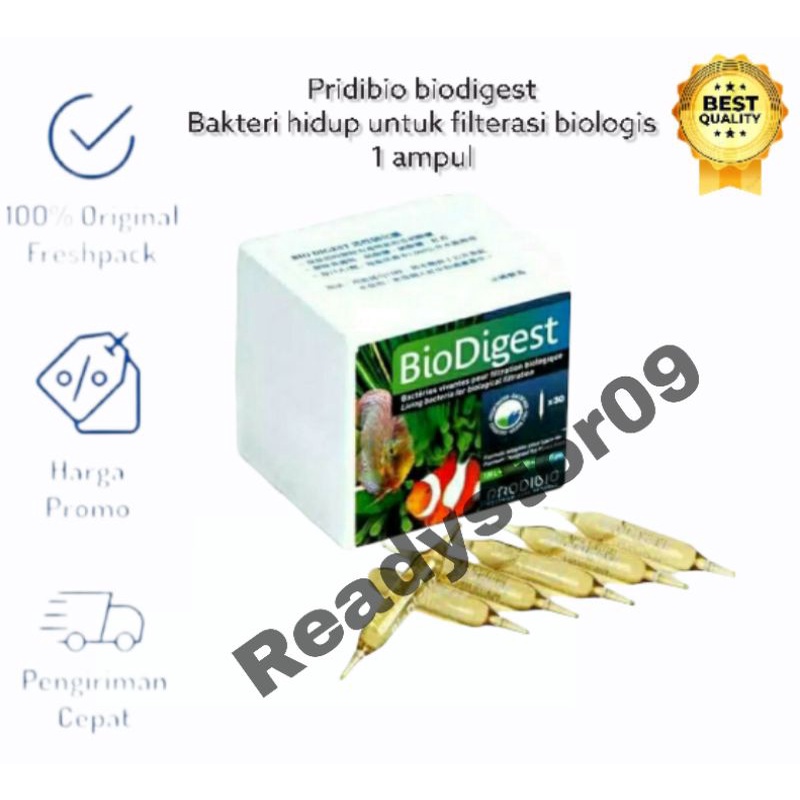 PRODIBIO BIODIGEST 1 VIALS / AMPUL