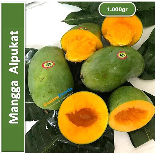 

Buah Mangga Alpukat - Mangga Klonal | 1.000gr [ Harga Per KG ]