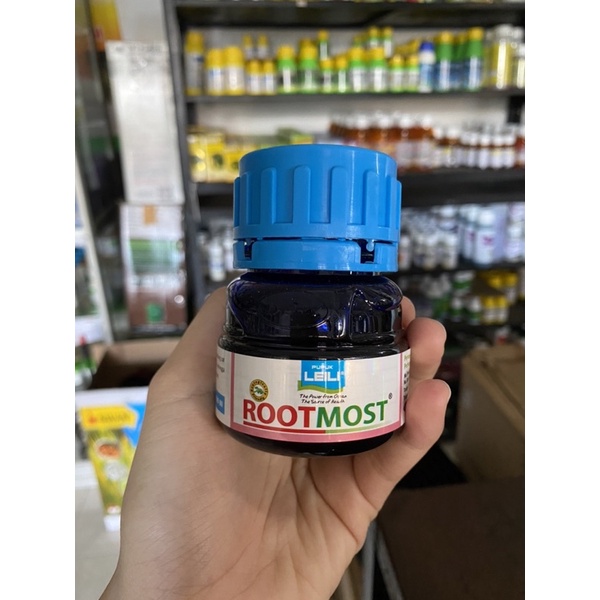 Zat Perangsang Akar Rootmost 100ml