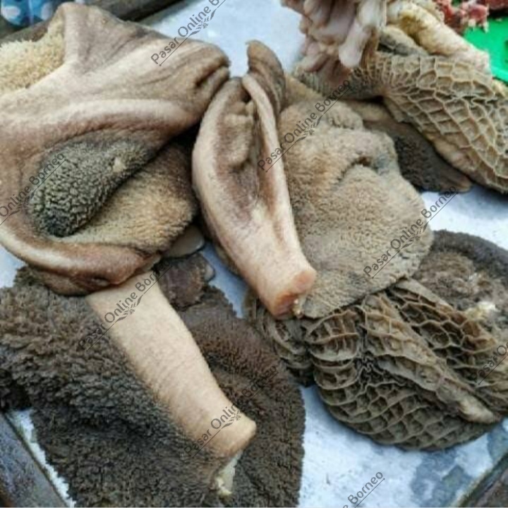 

Babat Sapi Fresh Segar