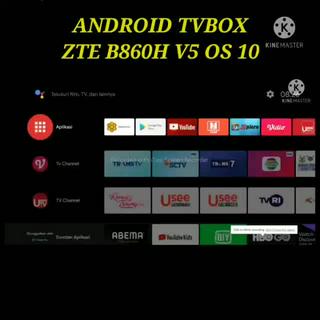 Jual STB Android TV BOX 4K ZTE V5 OS 10 Remote Voice | Shopee Indonesia