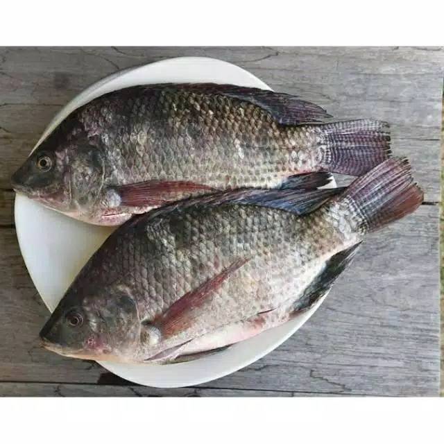 

Ikan nila segar 500 gram, ikan medan, nila medan
