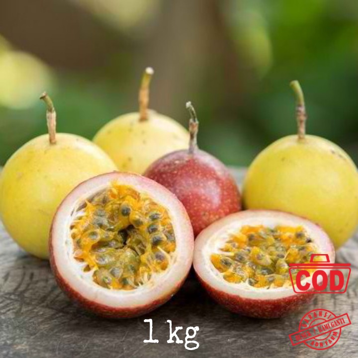 

Buah Markisa Fresh Grid B Kuning dan Ungu kg 11-13 pcs/kg