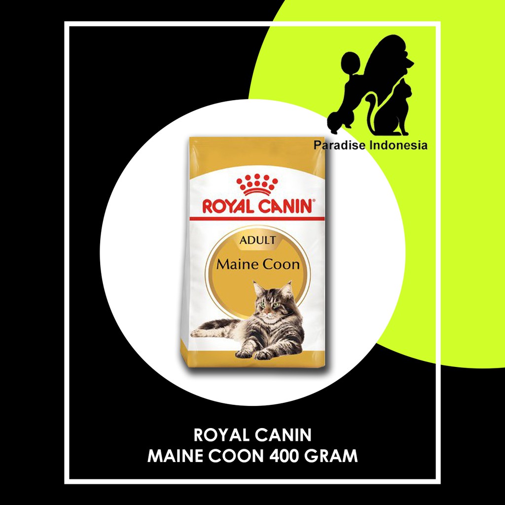 Royal Canin Maine Coon Adult 400gr