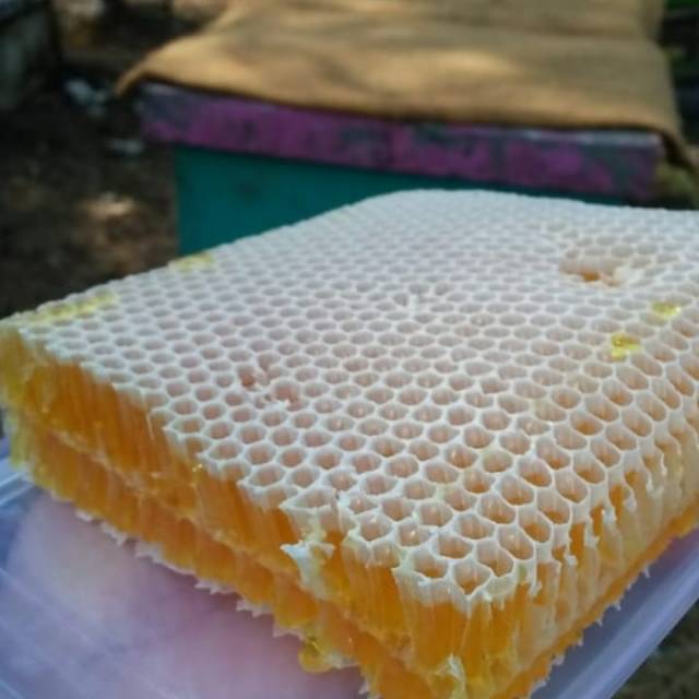 

Madu sarng khaira 250 gr