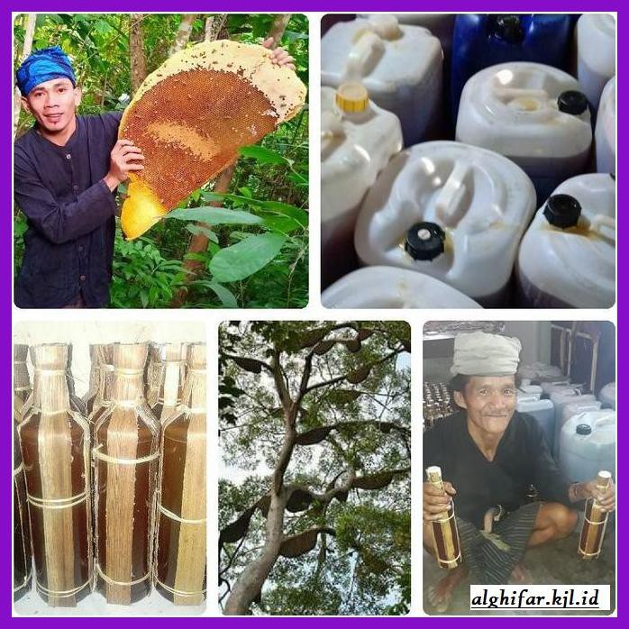 

MADU-MINUMAN- MADU ODENG BADUY ASLI, BOTOL PLASTIK KHUSUS RESELLR -ASLI-BUKAN-KAWE-KAWE-