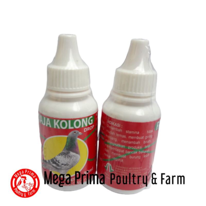RAJA KOLONG DROP 30ml Vitamin Burung Merpati Jantan dan Betina Unggulan