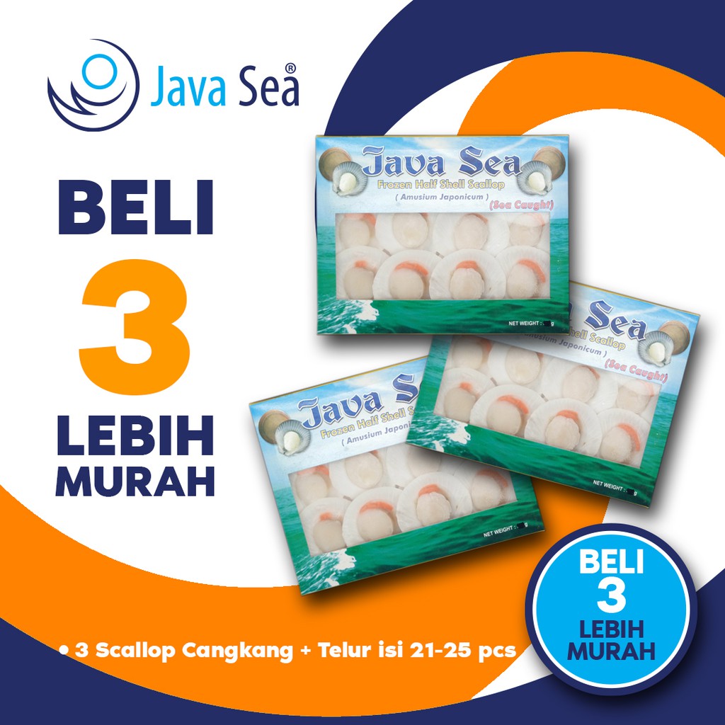 

BELI 3 LEBIH MURAH - JAVA SEA Scallop Cangkang Daging Telur 21-25 pcs