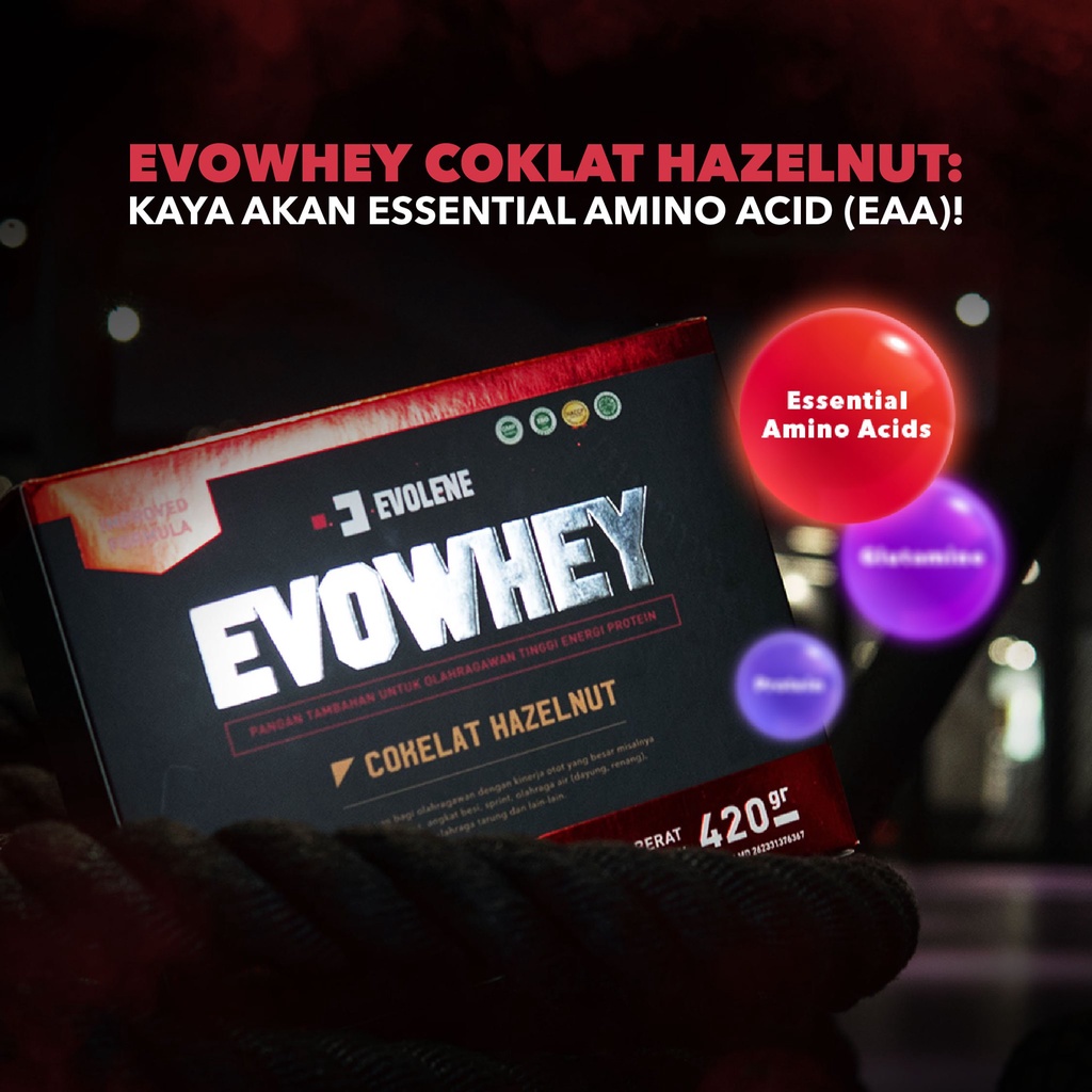 Evowhey Hazelnut 12s - Suplemen fitness pembentuk Otot - Defisit kalori - Susu Protein - Suplemen Fitness - Minuman Protein - Suplemen Workout Evolene Evoline Evolen