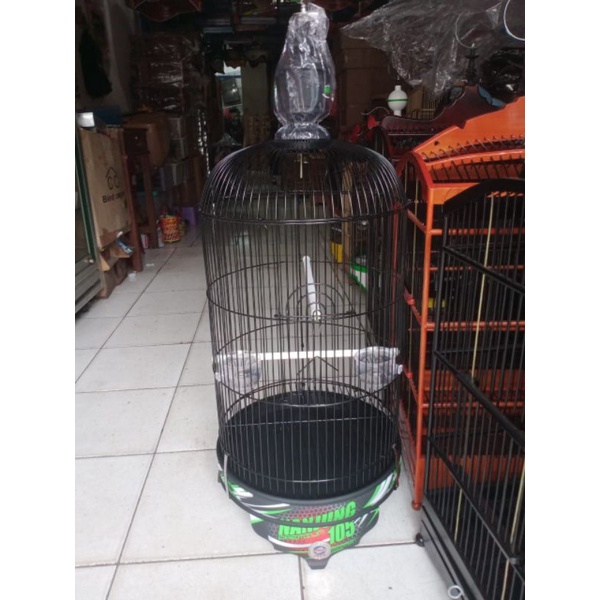 Sangkar Lovebird pvc decal nanjung ebod jaya