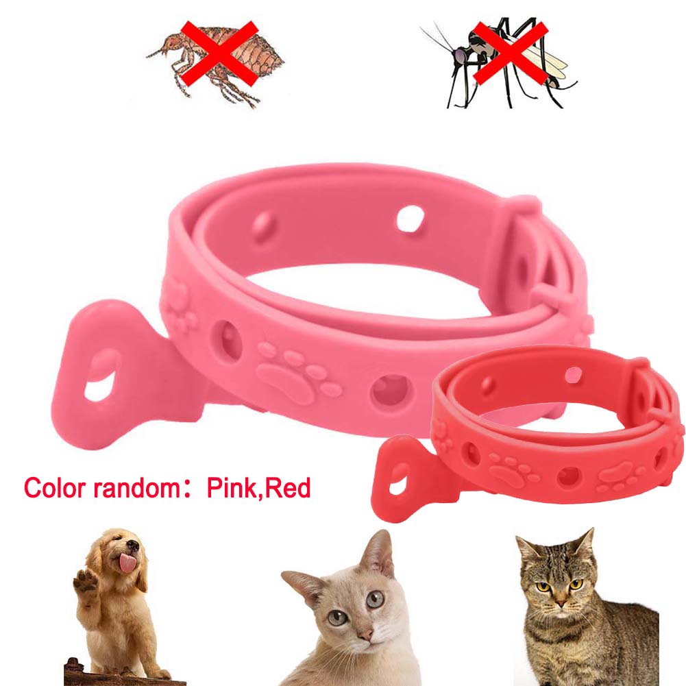 pink flea collar