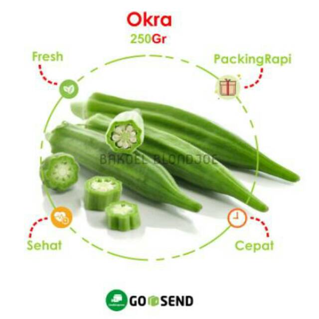 

SAYUR OKRA PACK / BENDI / FRESH VEGETABLES / VEGETABLE / SAYURAN SEGAR / BAKOELBLONDJOE