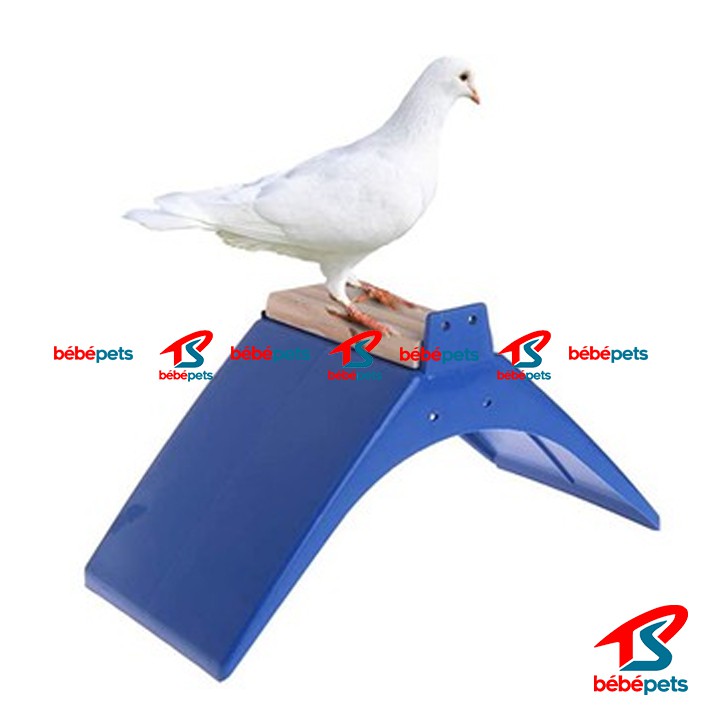 TANGKRINGAN MERPATI POS V-PERCHES TENGGERAN PLASTIK IMPORT
