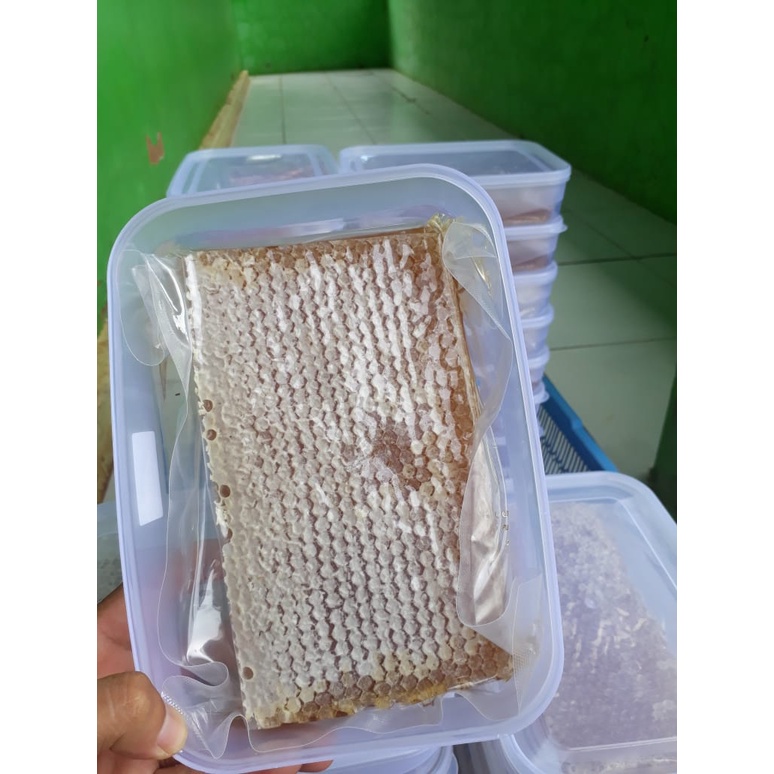 

Madu sarang melifera 250gr sarang madu melifera madu murni asli jakarta