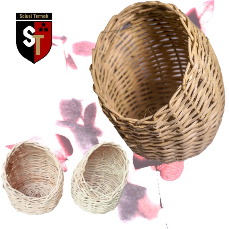Rotan Sarang Burung Finch Blackthroat - GOWOK ROTAN