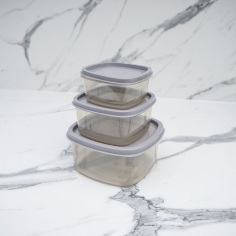 Technoplast Rice Keeper