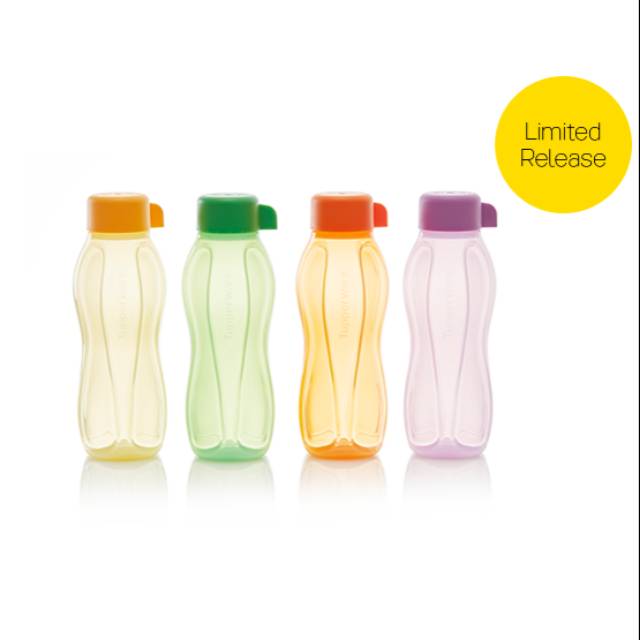 Eco Bottle 310ml (4)