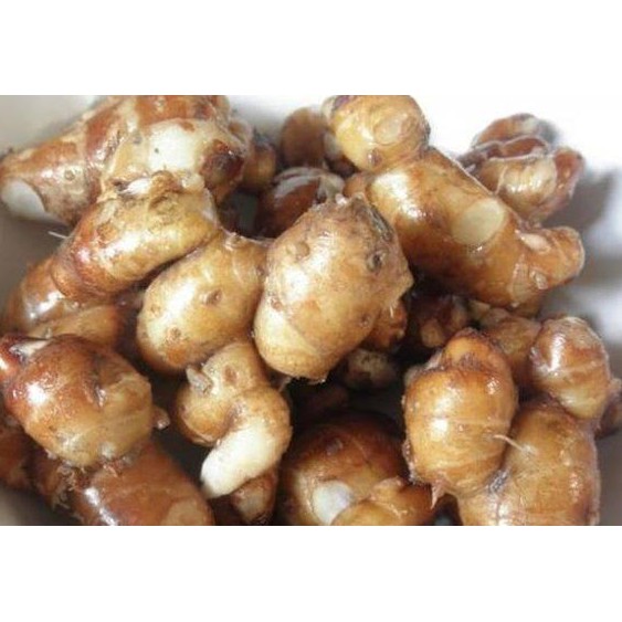 

Kencur 100 gram