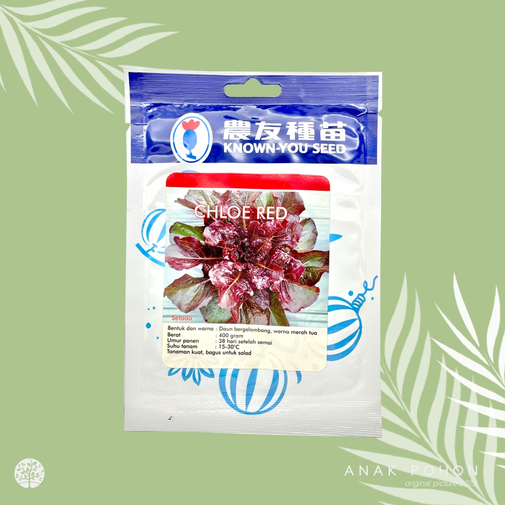 (1 PACK) Benih Selada Merah Chloe Red Lettuce Seeds - Known You Seed KYS - 10 GRAM